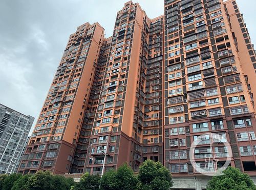 四川男子陷565萬(wàn)元債務(wù)執(zhí)行難,當(dāng)事人稱代理律師失職索賠千萬(wàn)